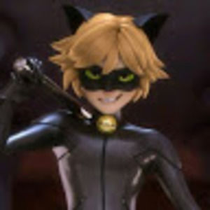 Meet your Posher, Shea